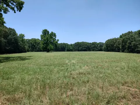 tbd 55644 Acres County Road 1807, Yantis, TX 75497