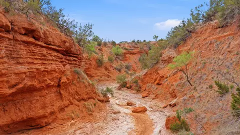 1245 County Road 349, Rotan, TX 79546