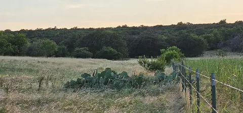 130 County Road 265, Priddy, TX 76870 photo 14
