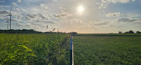 130 County Road 265, Priddy, TX 76870 photo 13