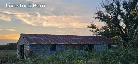 130 County Road 265, Priddy, TX 76870 photo 24