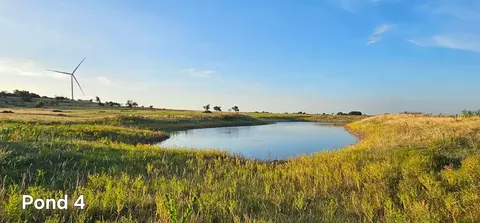 130 County Road 265, Priddy, TX 76870 photo 22