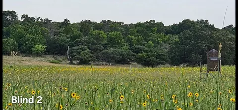 130 County Road 265, Priddy, TX 76870 photo 34