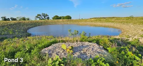 130 County Road 265, Priddy, TX 76870 photo 21