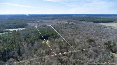 Tr5 18.27 Acres County Rd 3071, De Berry, TX 75639