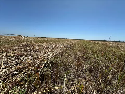 tbd Cr 265, Comanche, TX 76442 photo 17