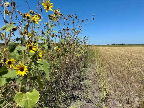 tbd Cr 265, Comanche, TX 76442 photo 7