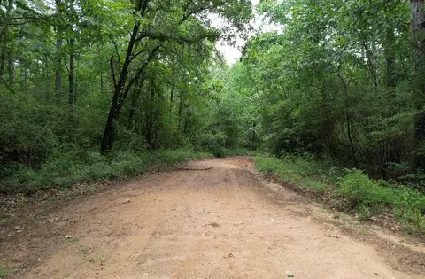 tbd County Road 4679, Tenaha, TX 75974
