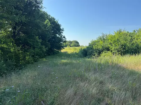 tbd Ball Rd, Whitewright, TX 75491 photo 11