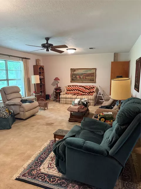 Living - 25362 Fm-137, Petty, TX 75470 photo 1 of 1