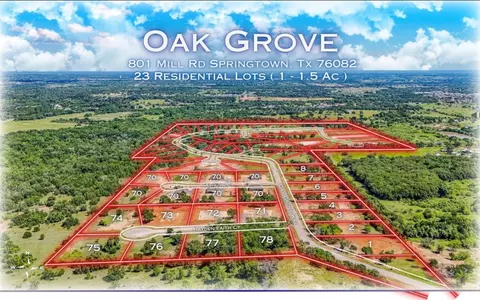 612 Tay Tay Way, Springtown, TX 76082