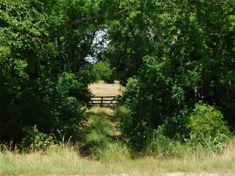 tbd Fm-272, Celeste, TX 75423 photo 11