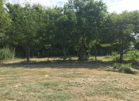 0 St Hwy 274, Tool, TX 75143 photo 3