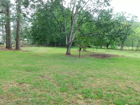 Exterior - 24044 Highway 157 Hwy, Springhill, LA 71075 photo 9 of 12
