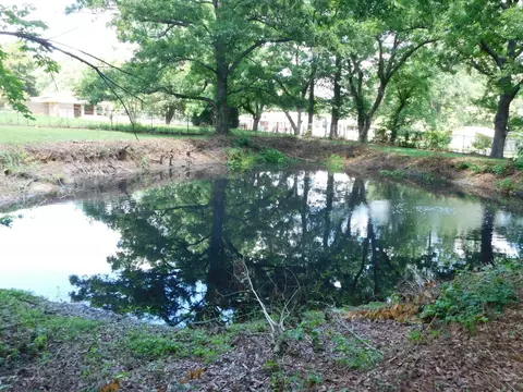 Other - 24044 Highway 157 Hwy, Springhill, LA 71075 photo 1 of 10