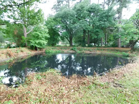 Other - 24044 Highway 157 Hwy, Springhill, LA 71075 photo 6 of 10