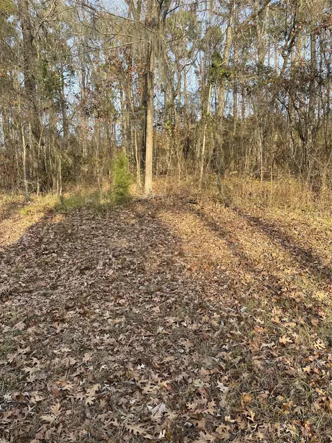 0 Sheriff Bailey Rd, Goldonna, LA 71031