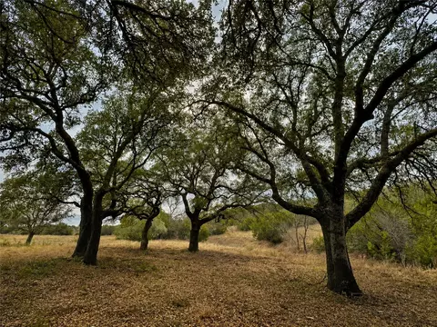 1146 Hidden Cove Trl, Glen Rose, TX 76043