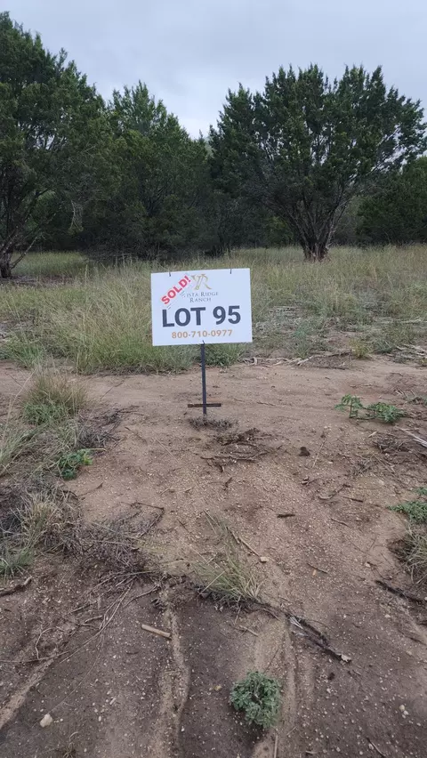 1129 County Road 407a, Nemo, TX 76070 photo 17
