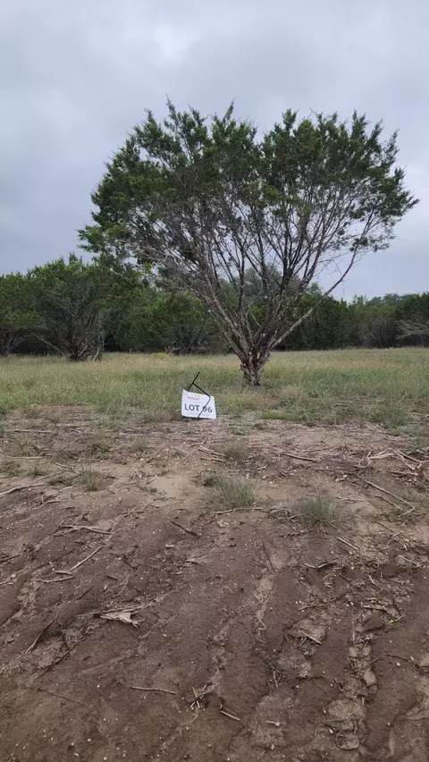 1129 County Road 407a, Nemo, TX 76070 photo 18