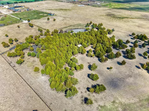 710 E Reindeer Rd, Lancaster, TX 75146 photo 18