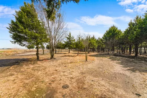 710 E Reindeer Rd, Lancaster, TX 75146 photo 13