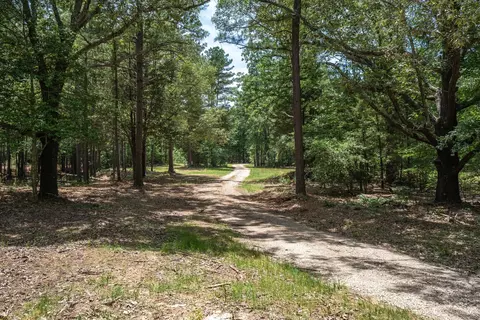 tbd Pvt Rd 8079 Rd, Ben Wheeler, TX 75754