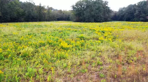 Other - 5015 561 Rd, Simms, TX 75574 photo 10 of 18