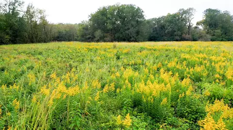 Other - 5015 561 Rd, Simms, TX 75574 photo 9 of 18