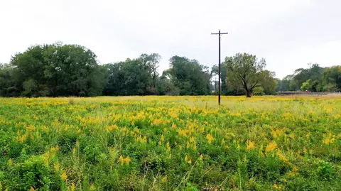 Other - 5015 561 Rd, Simms, TX 75574 photo 8 of 18
