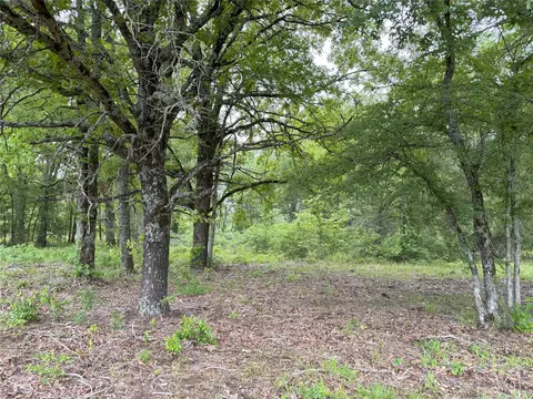 lot25 Rains County Road 2610, Alba, TX 75410