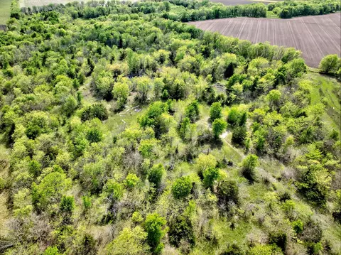 20 45 Acres Fm-2068, Commerce, TX 75428 photo 15