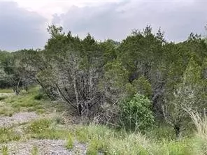 1083 Cedar Hill Dr, Nemo, TX 76070 photo 16