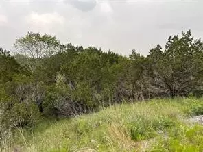 1083 Cedar Hill Dr, Nemo, TX 76070 photo 14