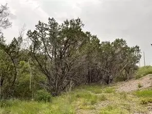 1083 Cedar Hill Dr, Nemo, TX 76070 photo 20