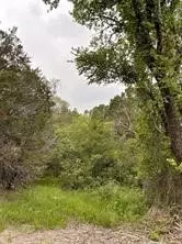 1083 Cedar Hill Dr, Nemo, TX 76070 photo 7