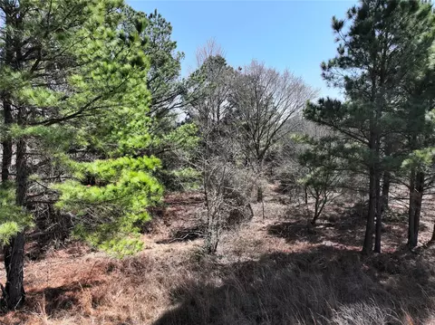 3843 Fm 1256, Eustace, TX 75124 photo 10