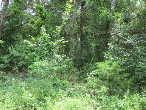 tbd Robinson St, Emory, TX 75440 photo 3