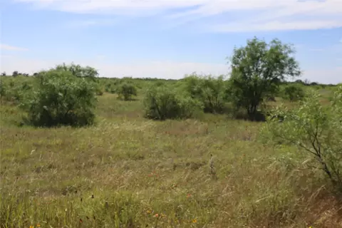 807 County Road 215, Rising Star, TX 76471
