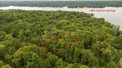 lot236 Canadian Dr, Scroggins, TX 75480