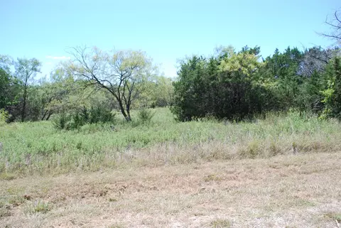 43131 Mountain Sage Dr, Whitney, TX 76692