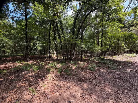 lot29 30 King Arthur Ct, Scroggins, TX 75480