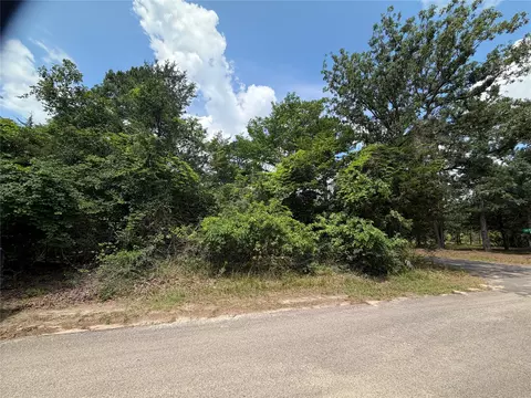 tbd King Lake Rd, Scroggins, TX 75480