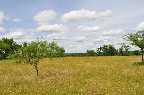 1849 Two Bush Rd, Perrin, TX 76486 photo 27