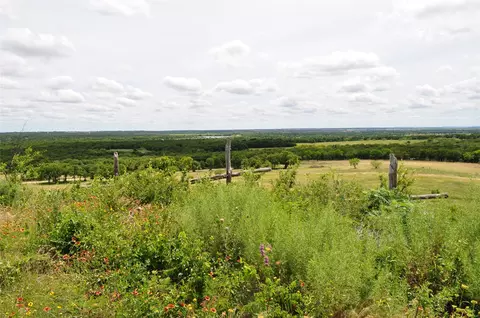 1849 Two Bush Rd, Perrin, TX 76486 photo 22
