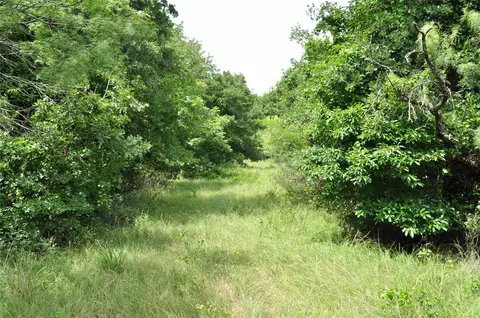 1849 Two Bush Rd, Perrin, TX 76486 photo 20