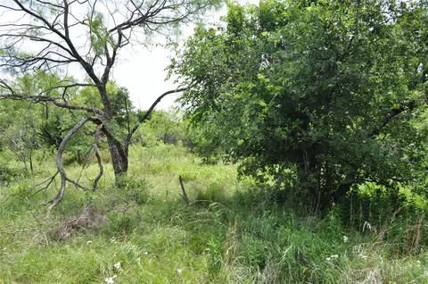 1849 Two Bush Rd, Perrin, TX 76486 photo 32