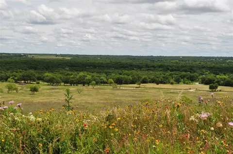 1849 Two Bush Rd, Perrin, TX 76486 photo 3