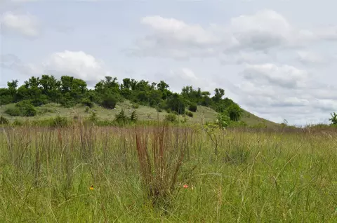 1849 Two Bush Rd, Perrin, TX 76486 photo 30