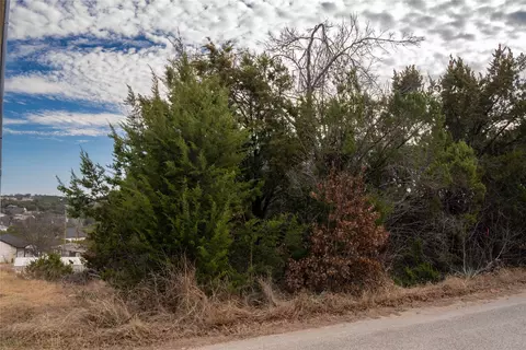 917 Bobcat Trl, Granbury, TX 76048